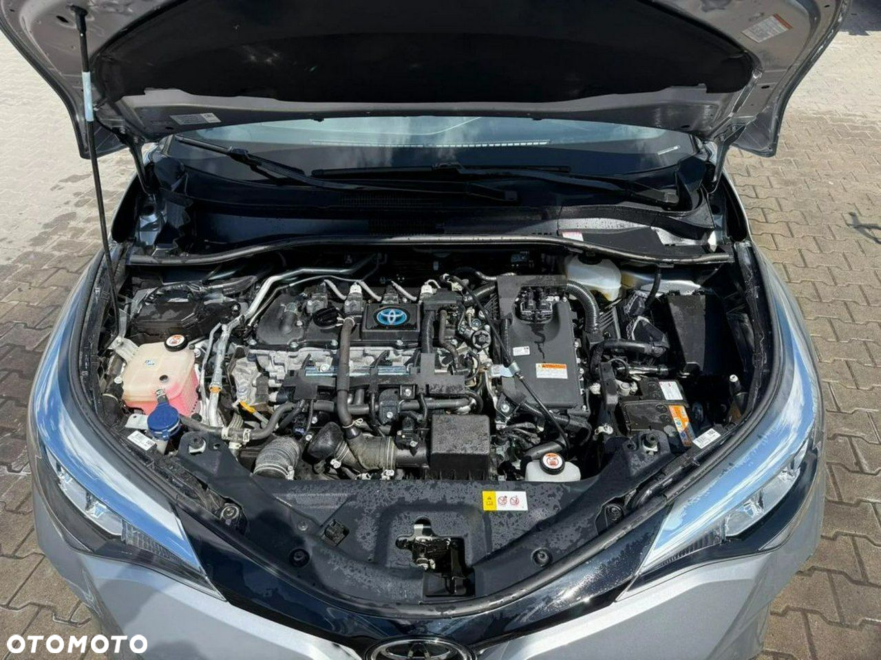 Toyota C-HR - 14
