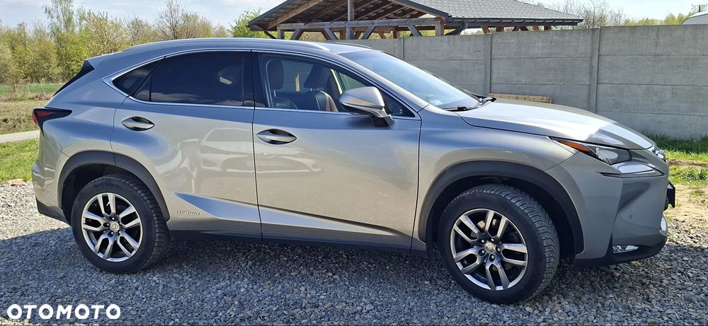 Lexus NX 300h Comfort AWD - 1
