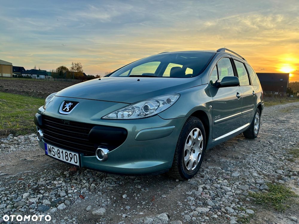Peugeot 307 1.6 Oxygo - 3