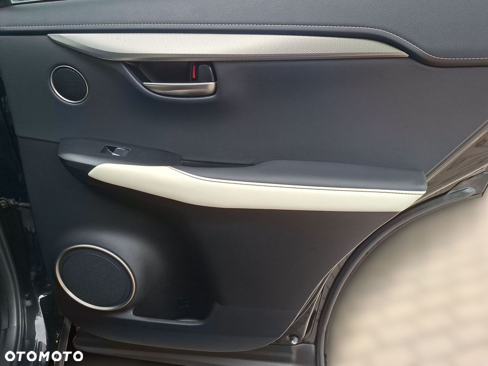 Lexus NX 300 GPF F Sport AWD - 24