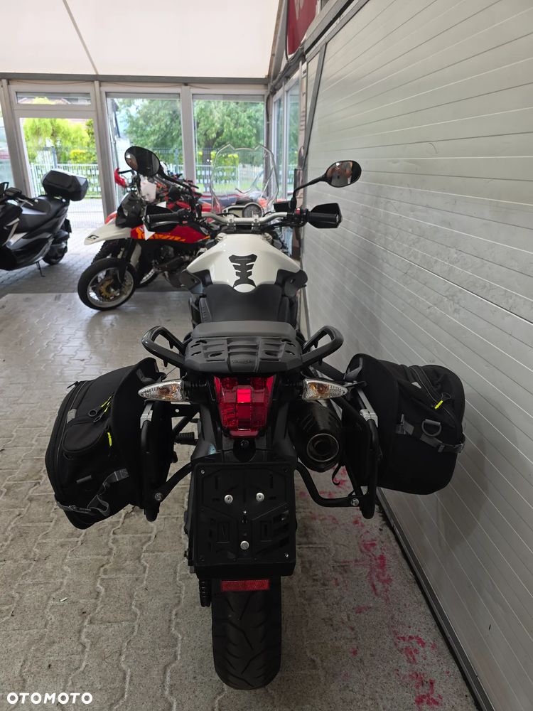 Triumph Tiger - 9