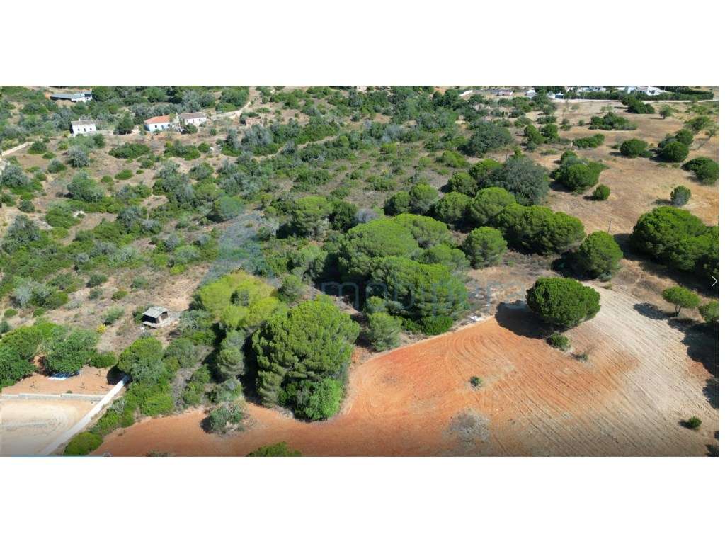Terreno rústico com 10.540 m² para venda em Armação de Pêra - Grande imagem: 3/5
