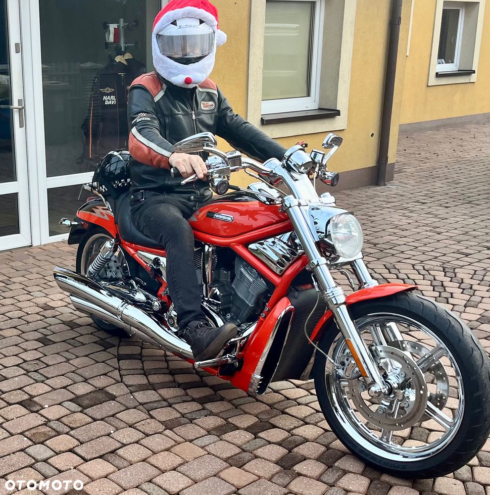 Harley-Davidson Softail V-Rod - 2