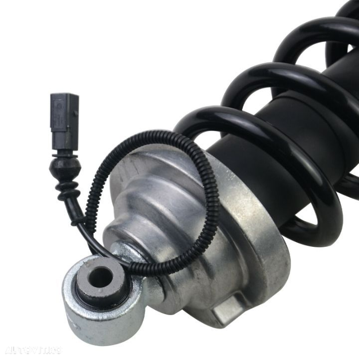 Amortizor fata Audi R8 4S - 5