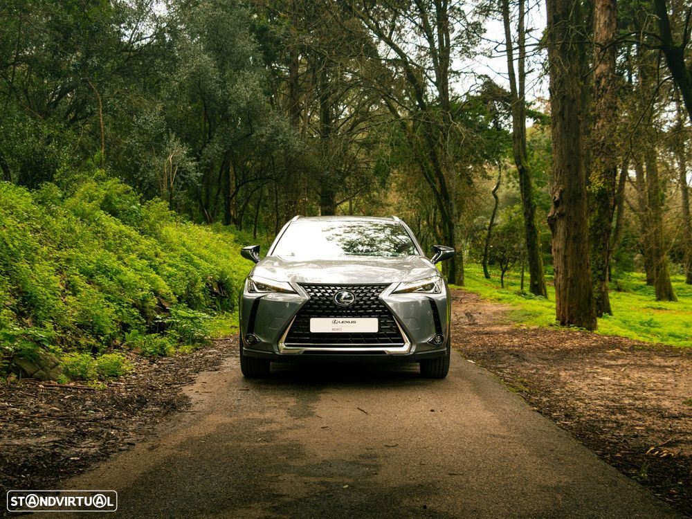 Lexus UX 300e Premium+TAE - 6