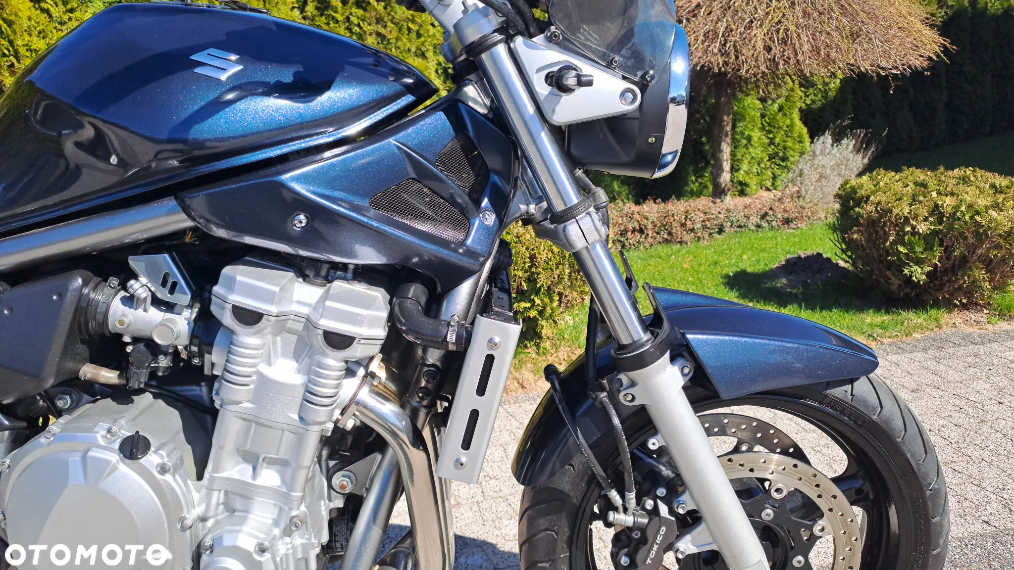 Suzuki Bandit - 12