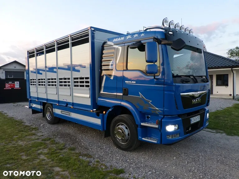 MAN TGM 15.250 DO ŻYWCA / ZWIERZĄT / BYDŁA / WAGA EL/. EURO 6 / DŁ. 5.20M /XENON - 2