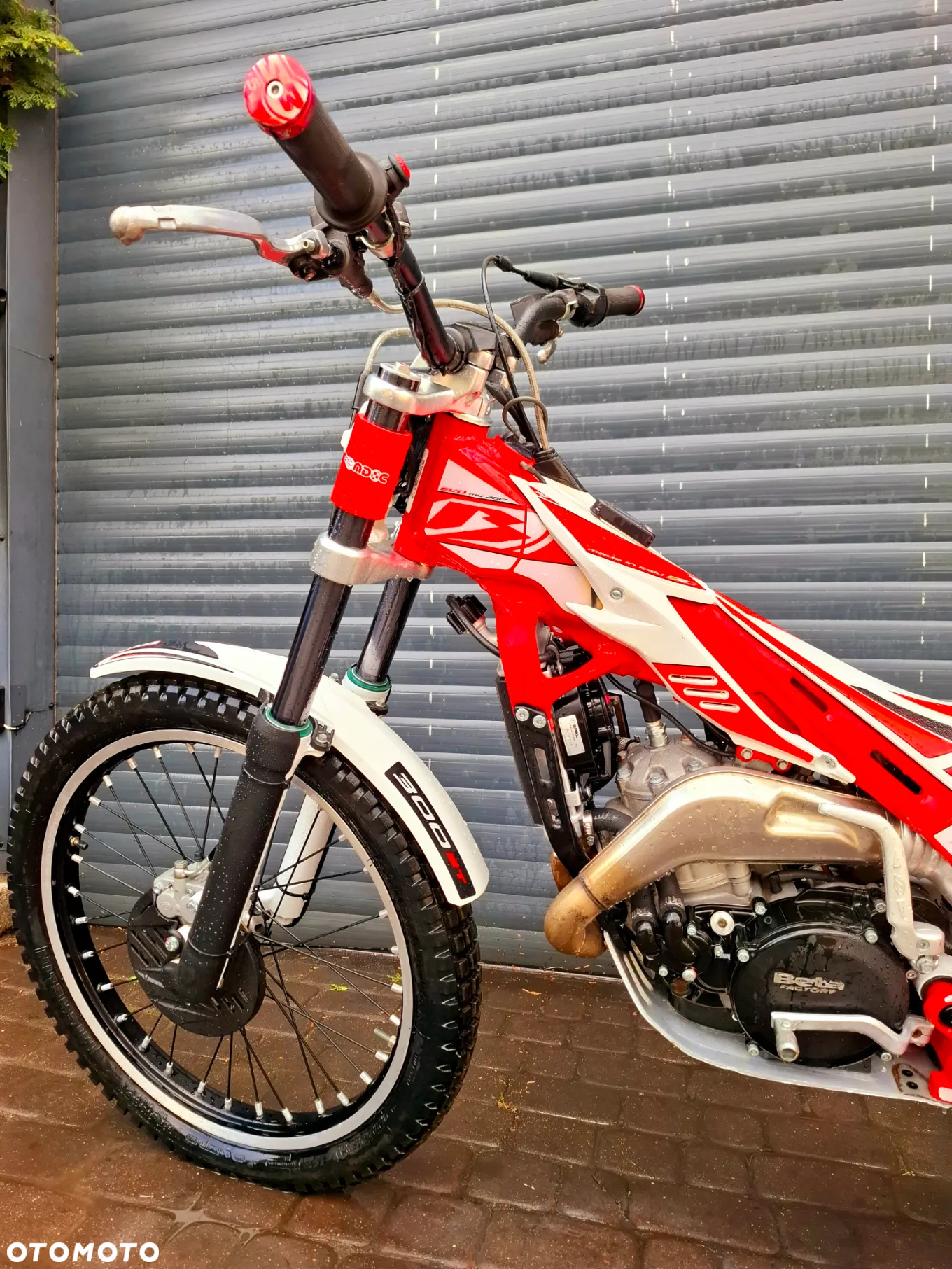 Beta Evo