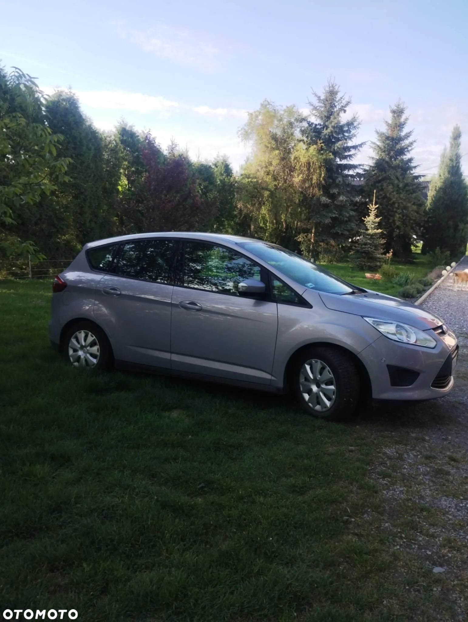Ford C-MAX 1.6 TDCi Trend - 1