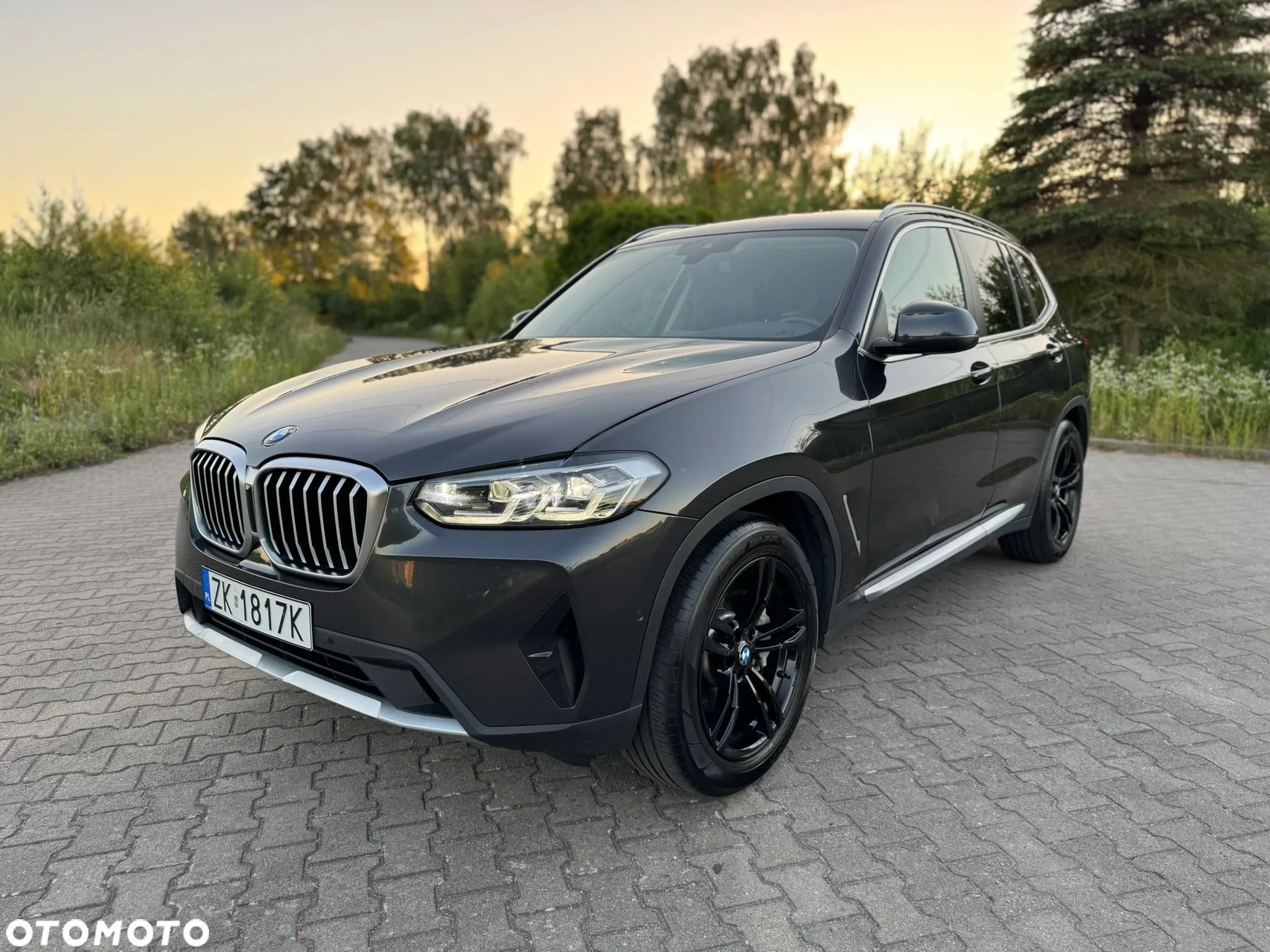 BMW X3 xDrive30d Luxury Line - 1
