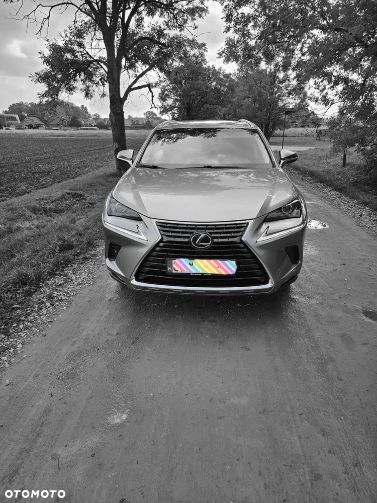 Lexus NX 300 Comfort AWD - 2