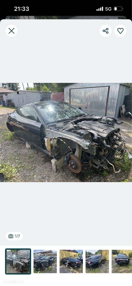 Jaguar Inny - 1