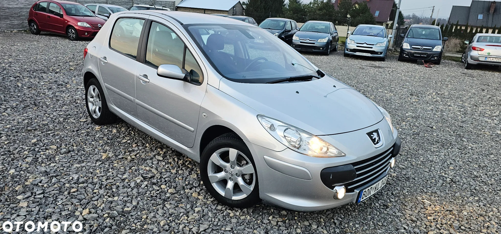 Peugeot 307 1.6 Premium - 9