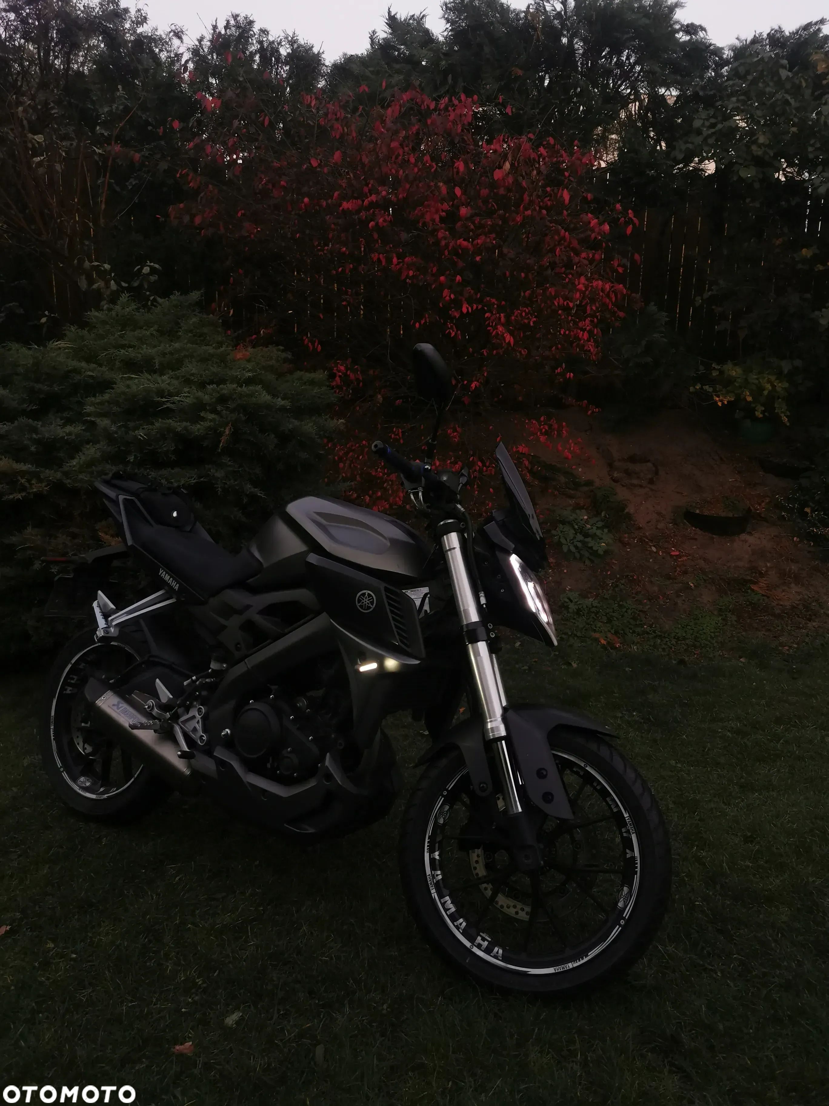 Yamaha MT - 1