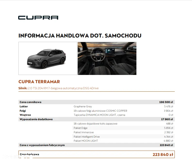 Cupra Terramar 2.0 TSI 4Drive DSG - 18