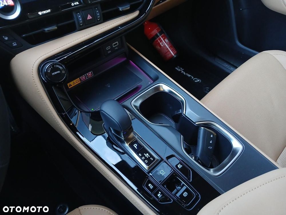 Lexus NX 350h Omotenashi AWD - 19