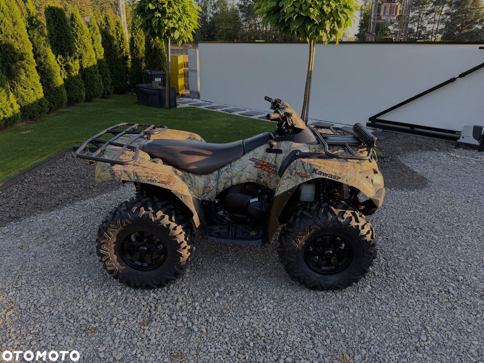Kawasaki Brute Force