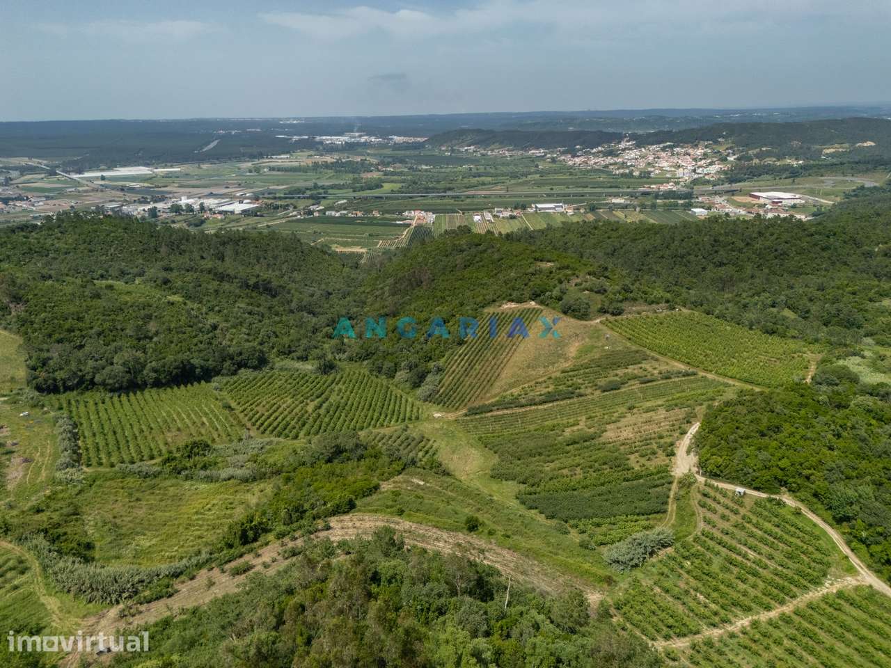 ANG1645 - Terreno para Venda em Vestiaria, Alcobaça - Grande imagem: 4/37