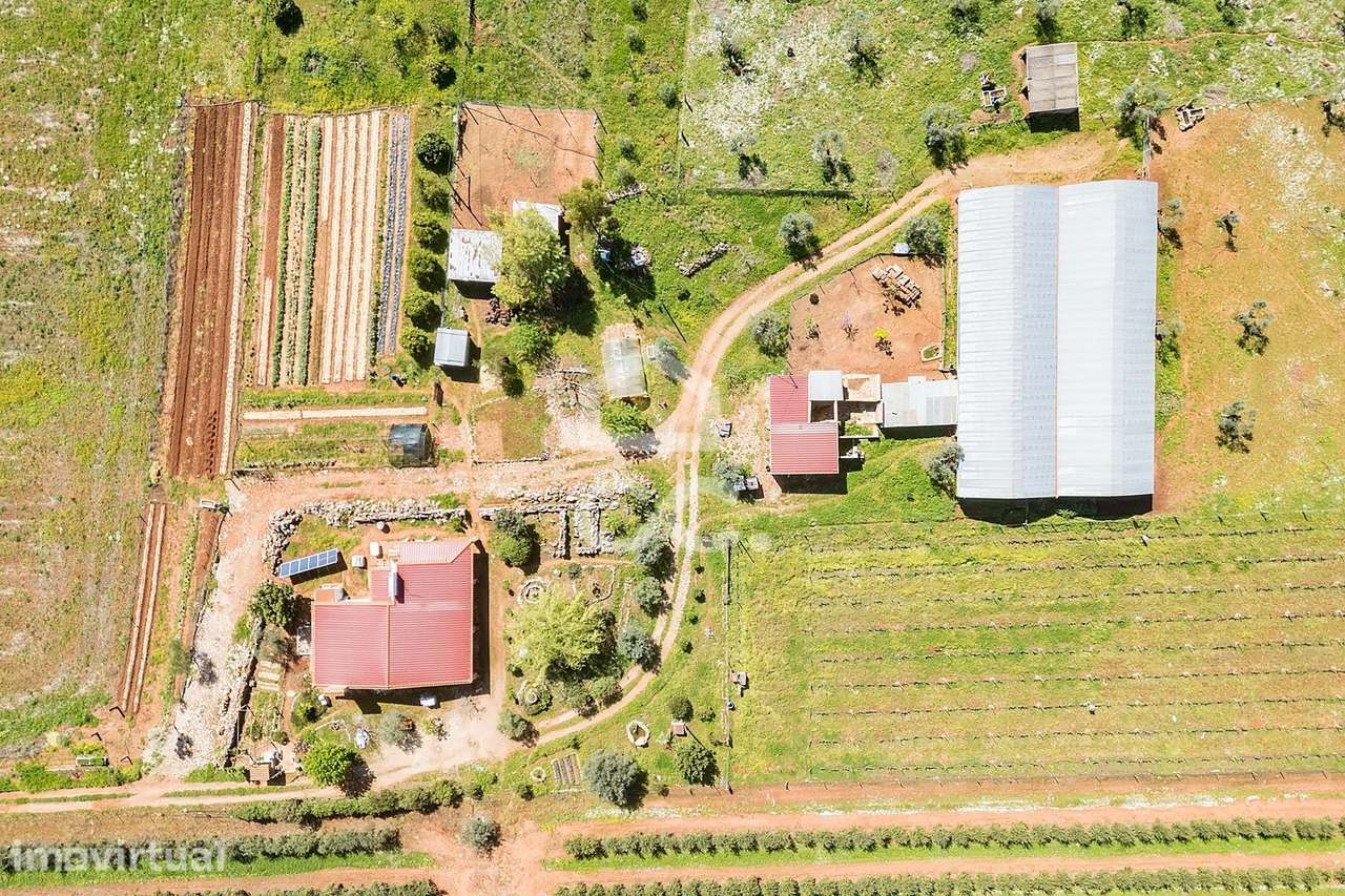 Quinta com 7,4 ha c/ Moradia em Renovação e Infraestruturas Agrícolas - Grande imagem: 2/60