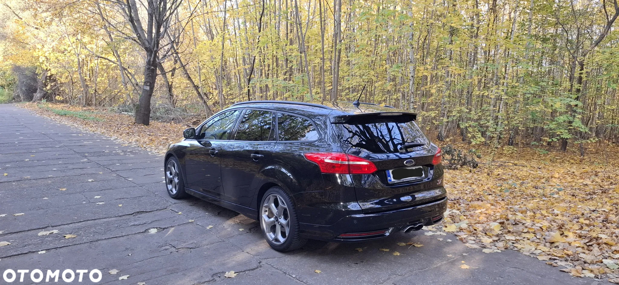 Ford Focus 2.0 EcoBoost ST - 5