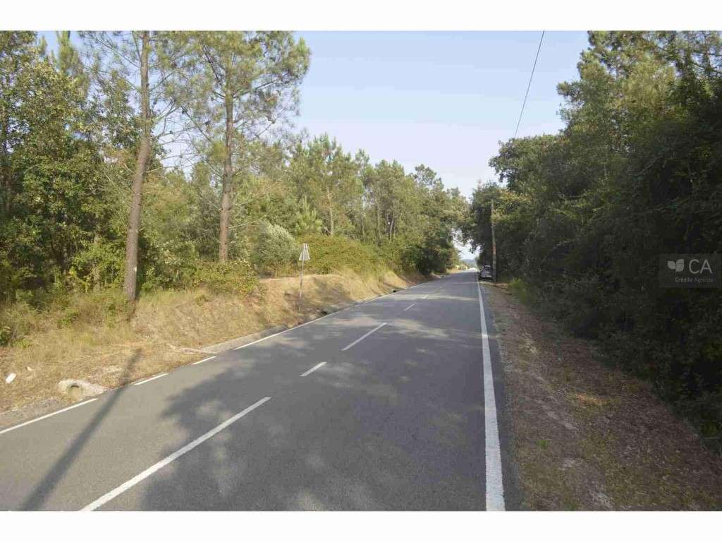 Terreno - Grande imagem: 2/7