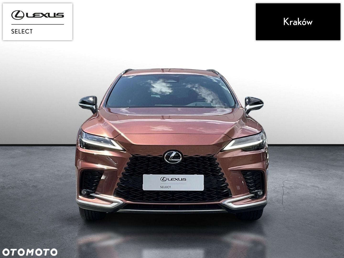 Lexus RX - 8