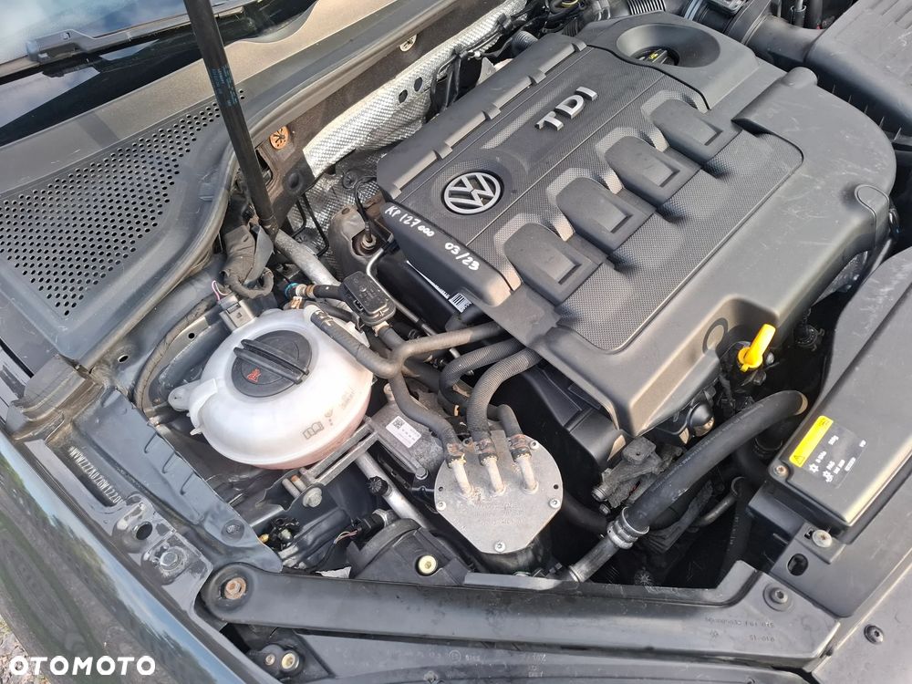 Volkswagen Golf - 28