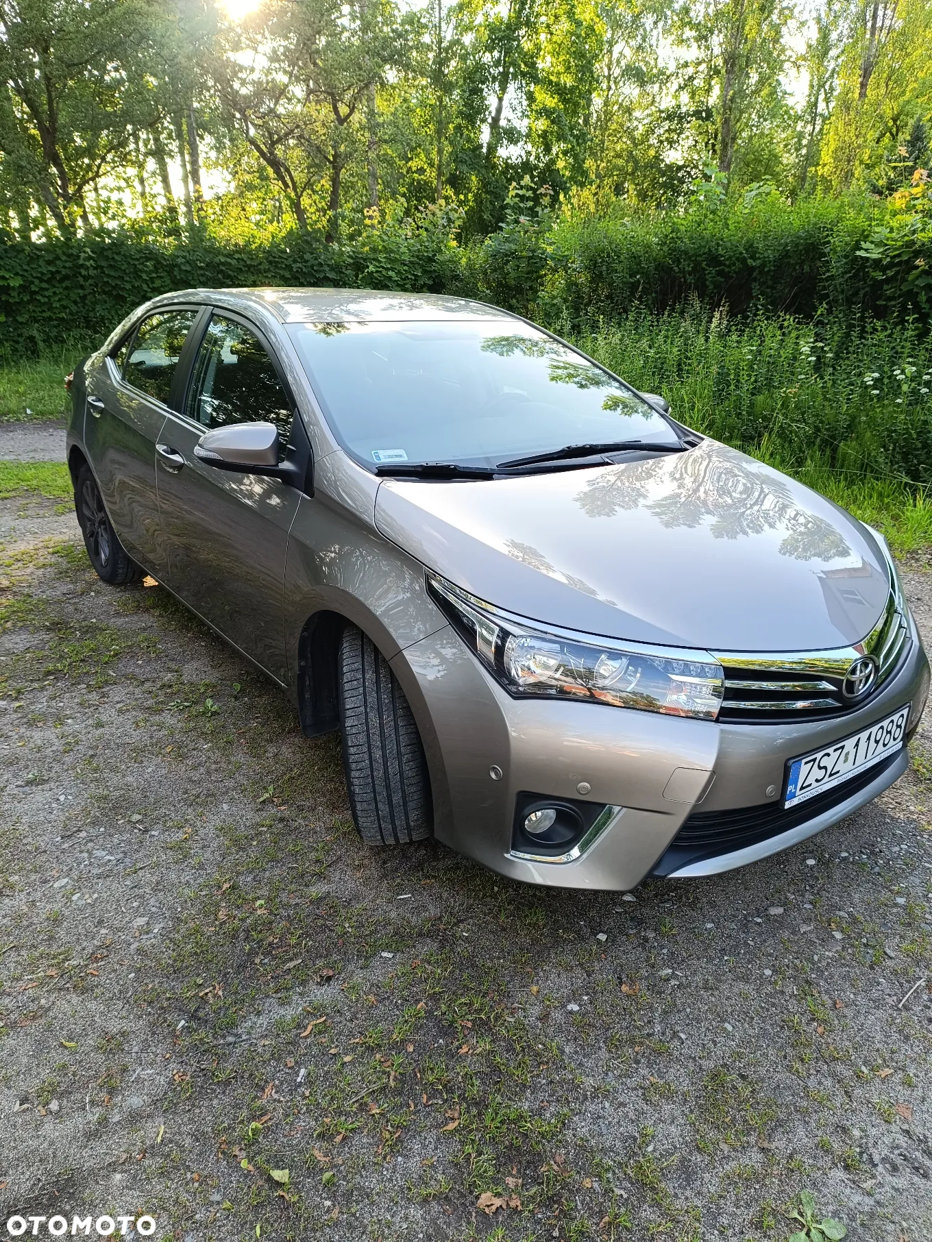 Toyota Corolla 1.6 Premium - 2