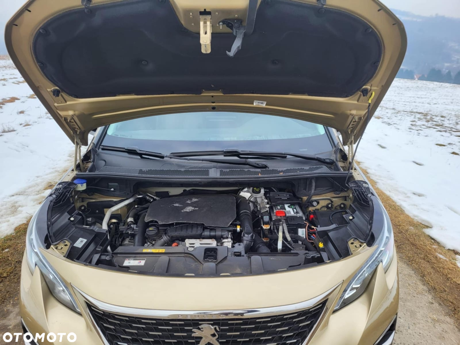 Peugeot 3008 PureTech 130 Stop & Start GPF EAT8 Allure Business-Paket - 18