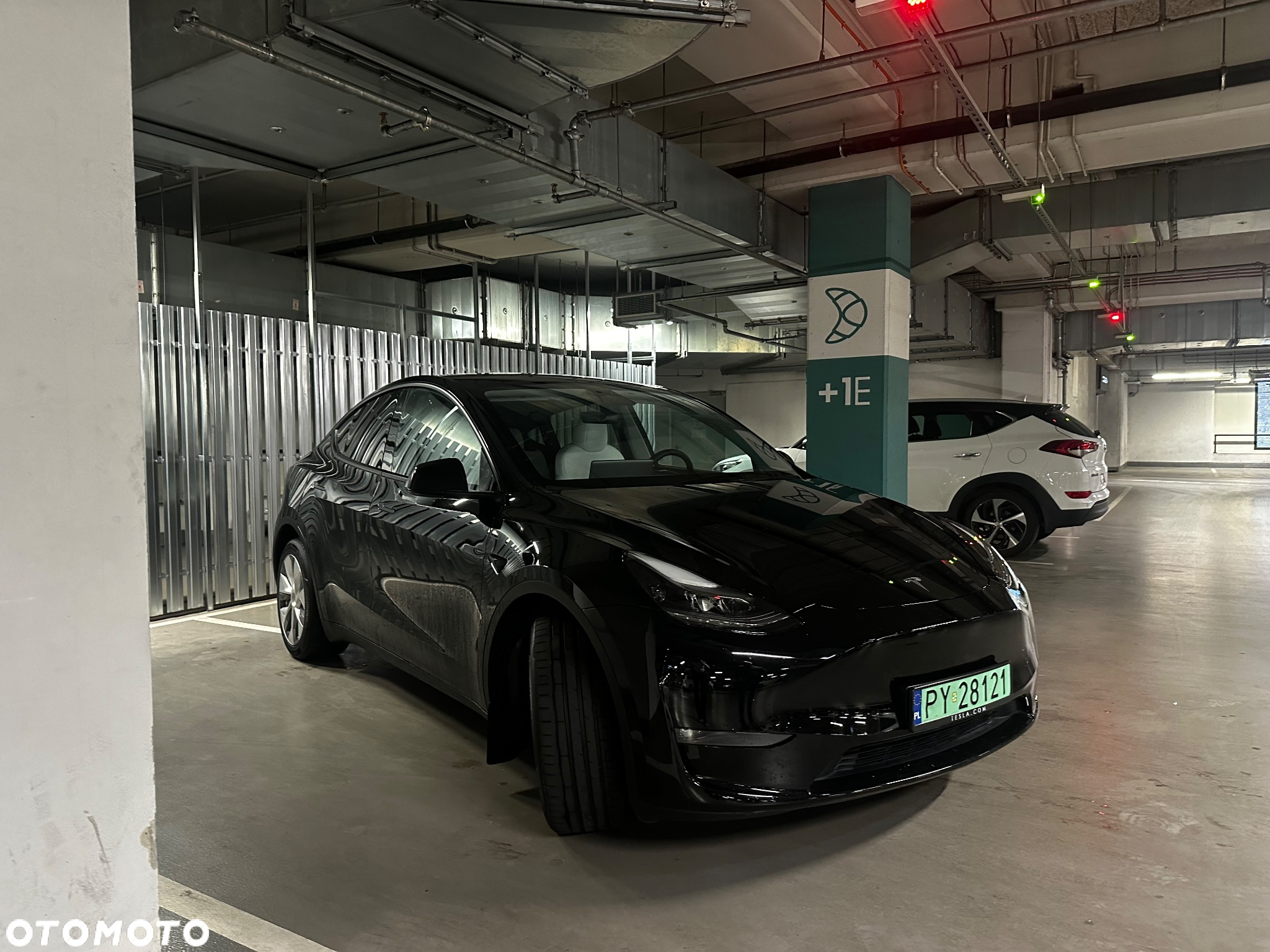 Tesla Y Long Range AWD - 3