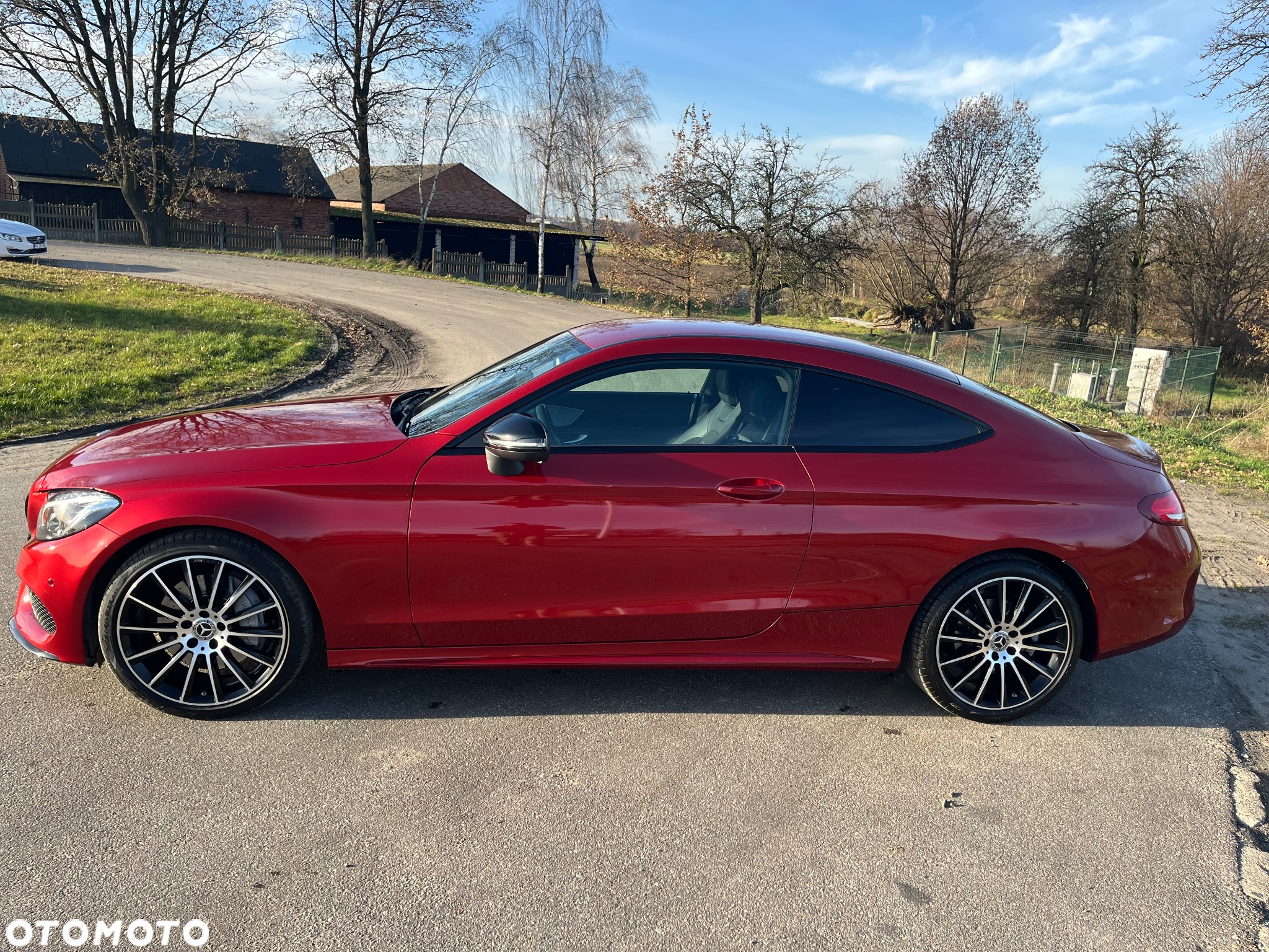 Mercedes-Benz Klasa C 250 9G-TRONIC - 19