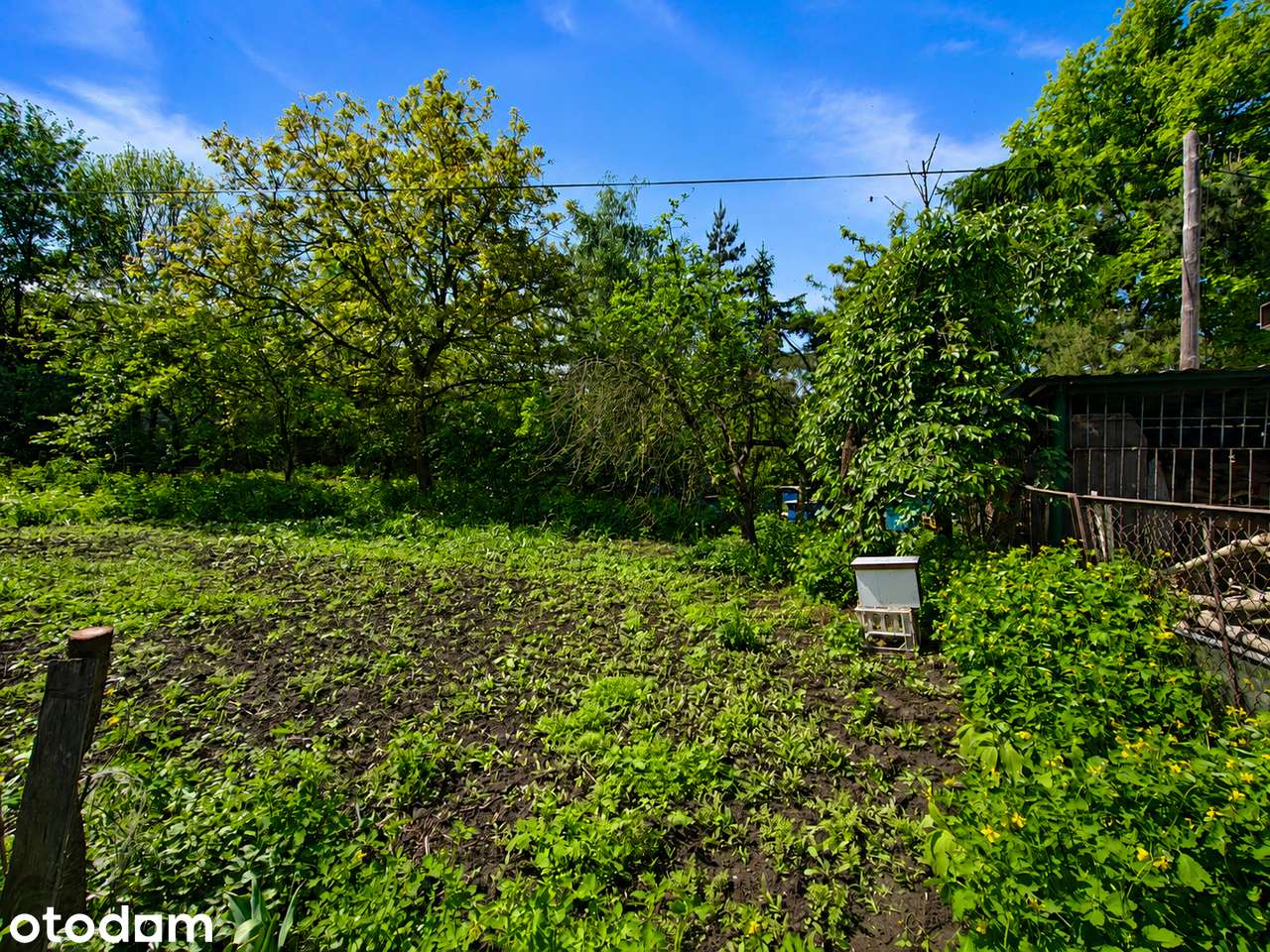 Mieszkanie przy jeziorze/50m2/2 pokoje/działka 500m2/dwa duże ogródki - Pełny obrazek: 3/15