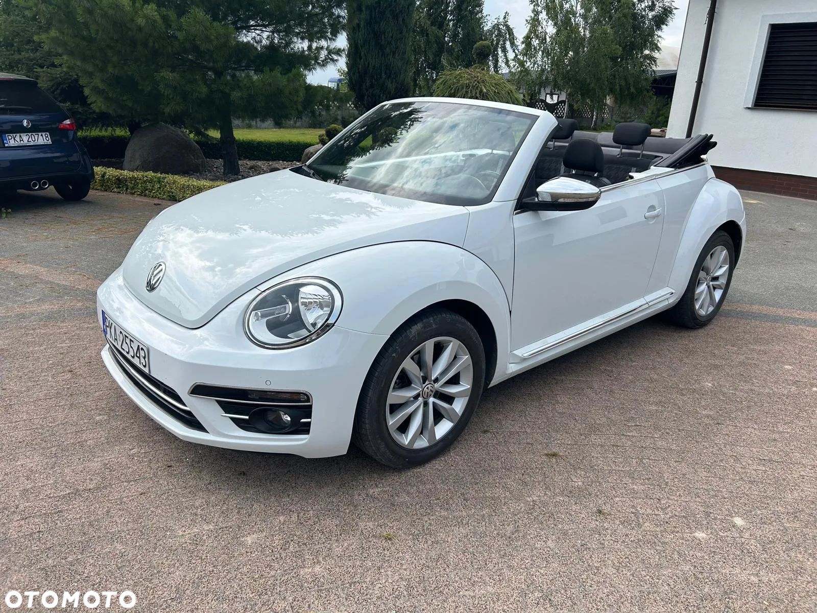 Volkswagen Beetle - 1