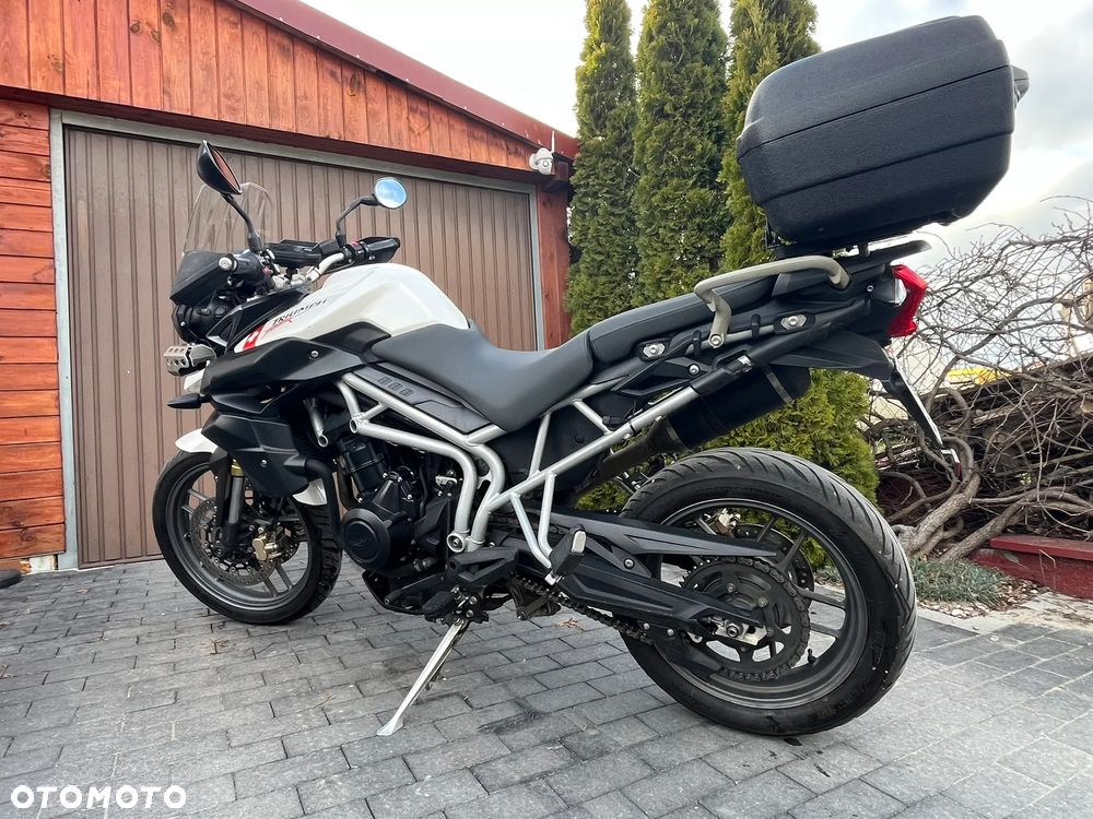 Triumph Tiger - 1