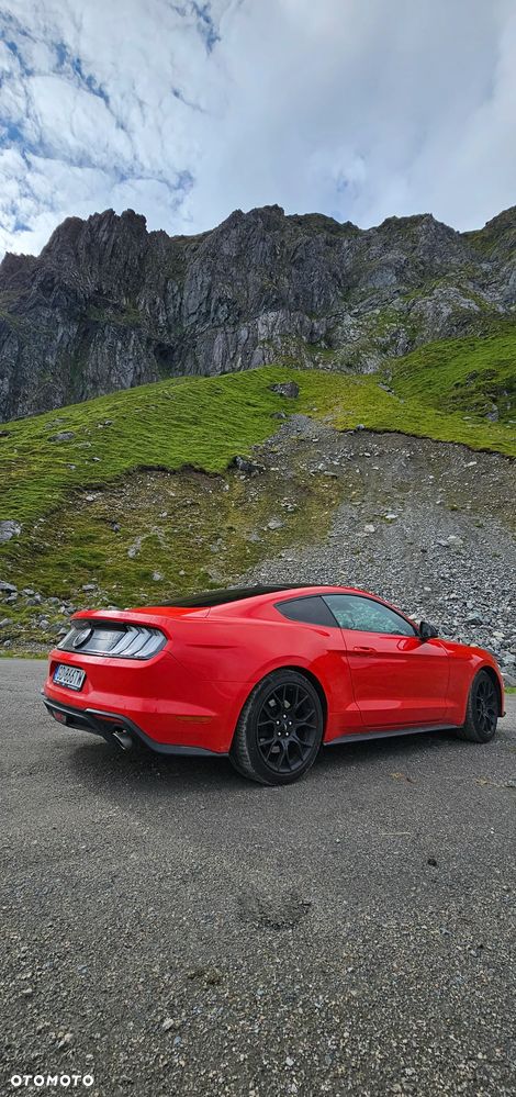 Ford Mustang 2.3 EcoBoost - 15
