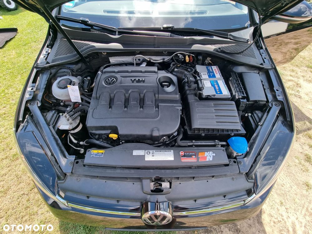 Volkswagen Golf - 21