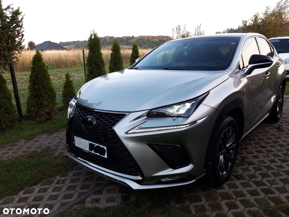 Lexus NX 300 GPF F Sport AWD - 8
