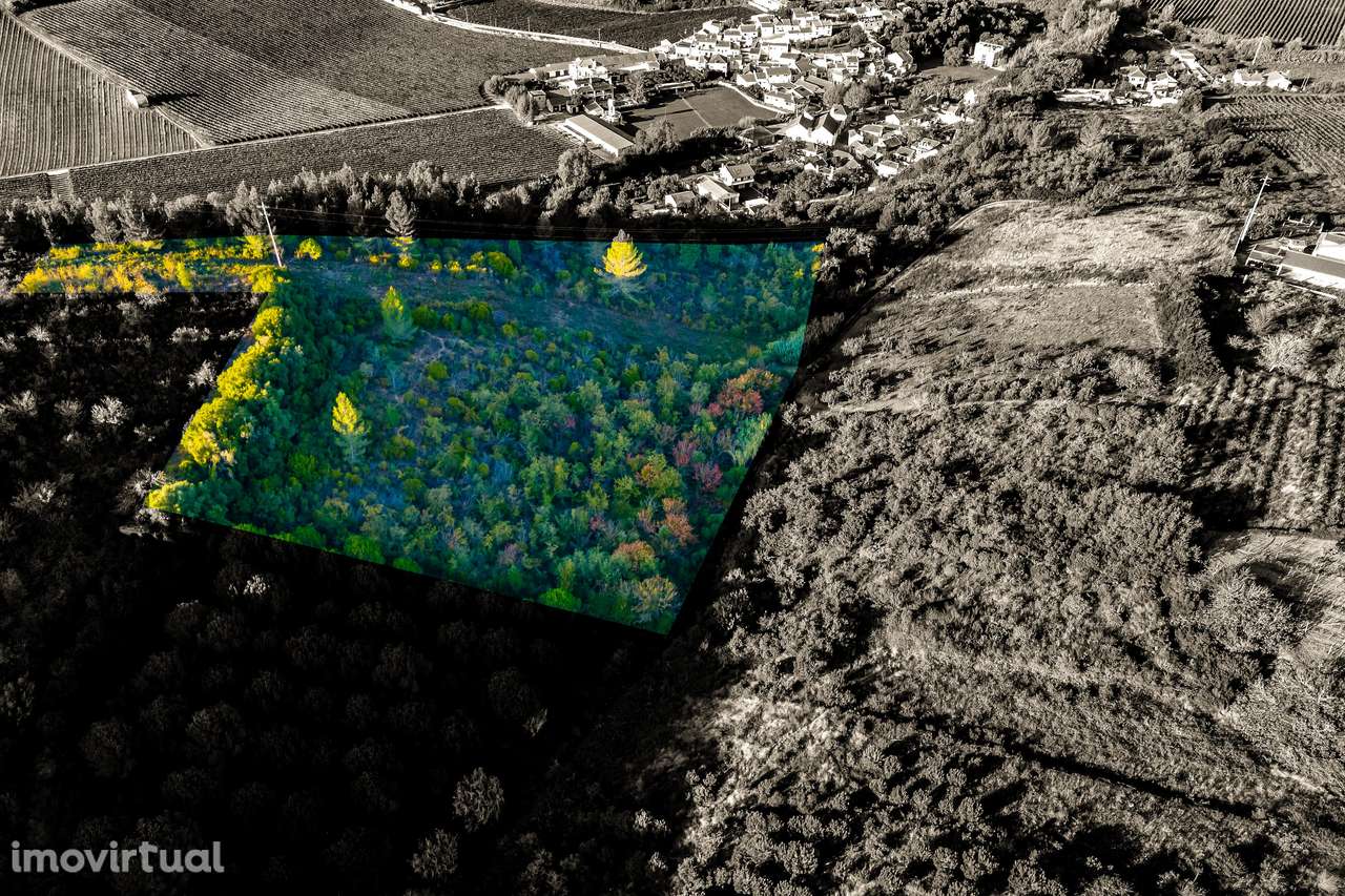 TERRENO RUSTICO | MECA | ALENQUER | 6000M2 - Grande imagem: 3/5