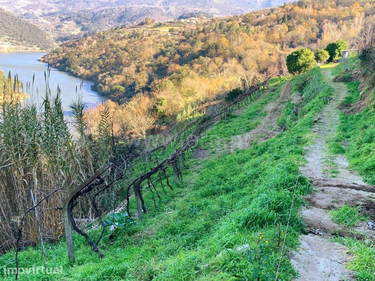 Terreno / Resende, Rio Douro - Grande imagem: 3/15