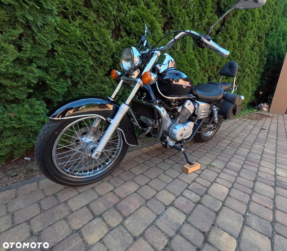 Honda Shadow - 7