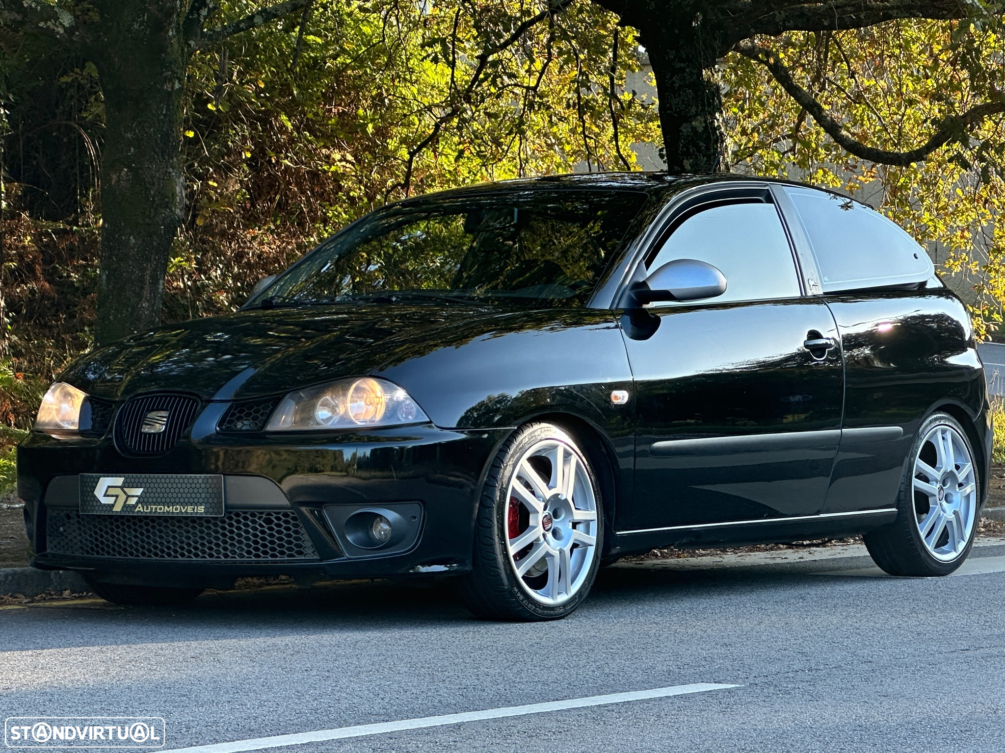 SEAT Ibiza 1.9 TDi Cupra - 16