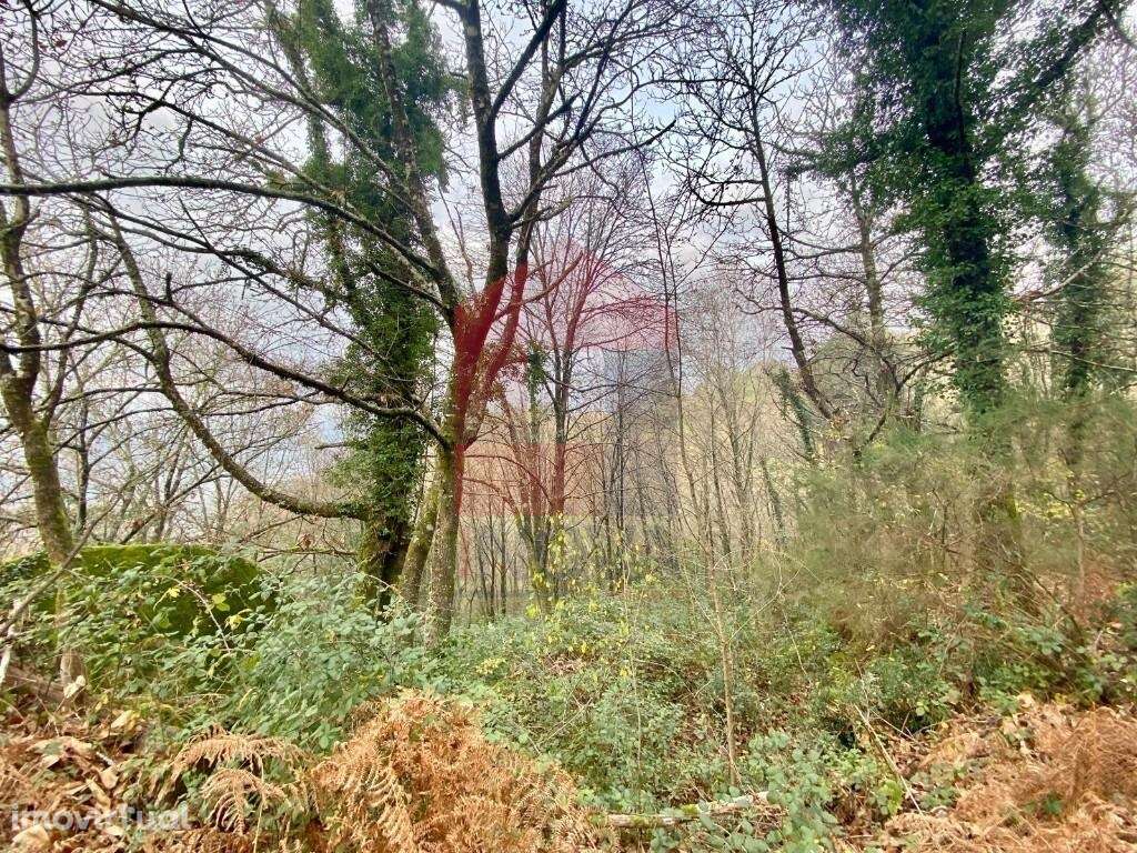 2 Terrenos para venda, Cuide de Vila Verde - Grande imagem: 4/20