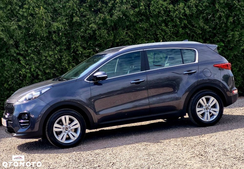 Kia Sportage - 28
