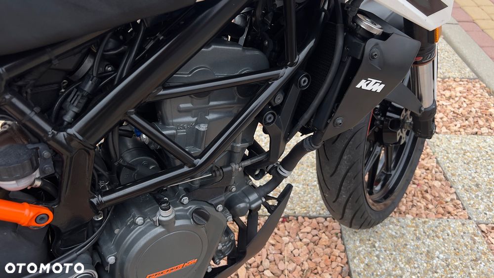 KTM Duke 125 - 19