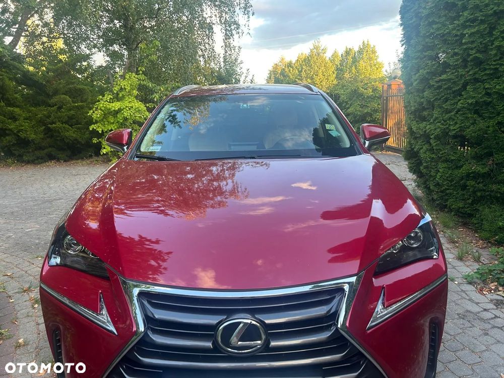 Lexus NX 200t Comfort AWD - 1