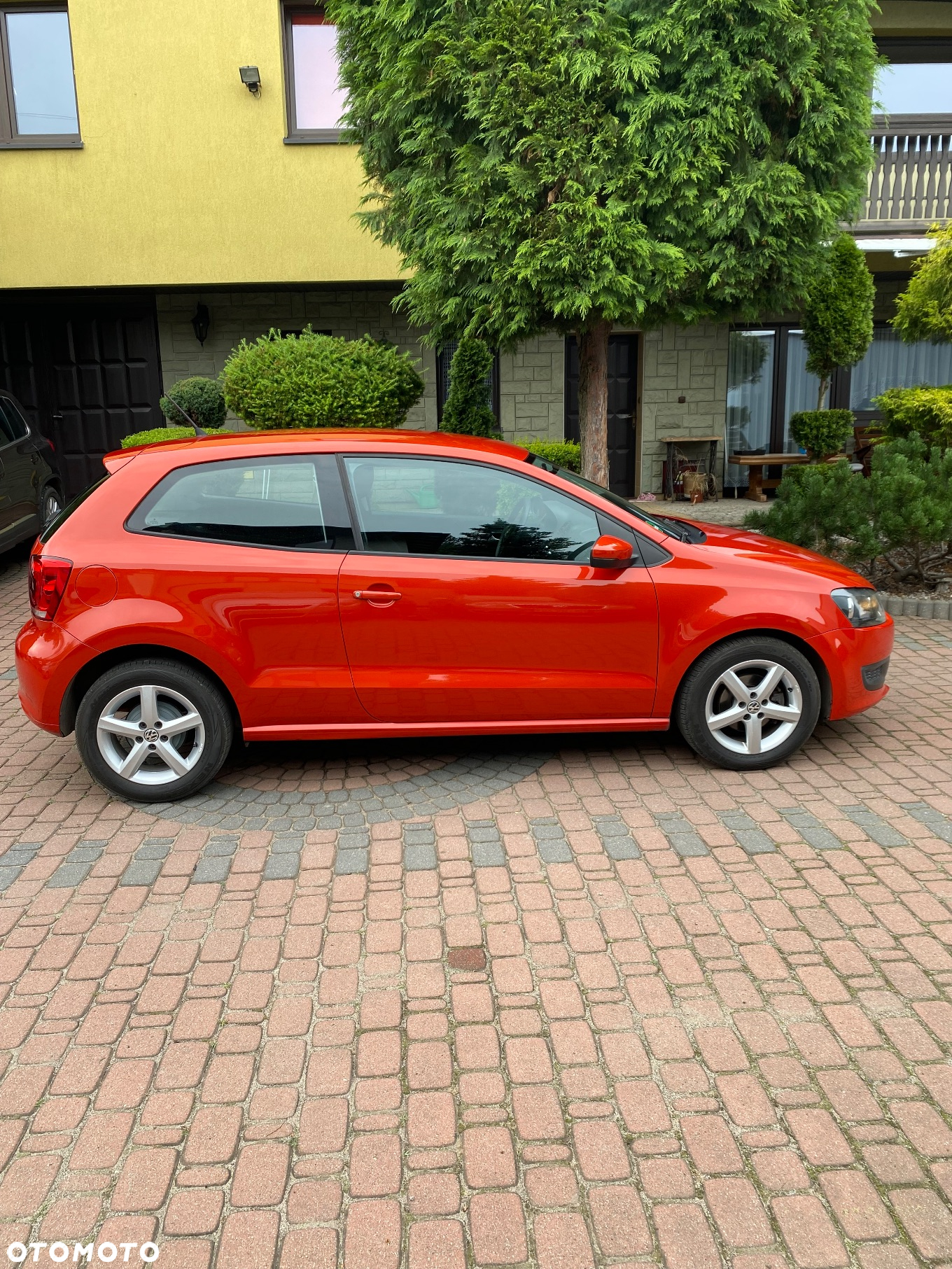 Volkswagen Polo - 4