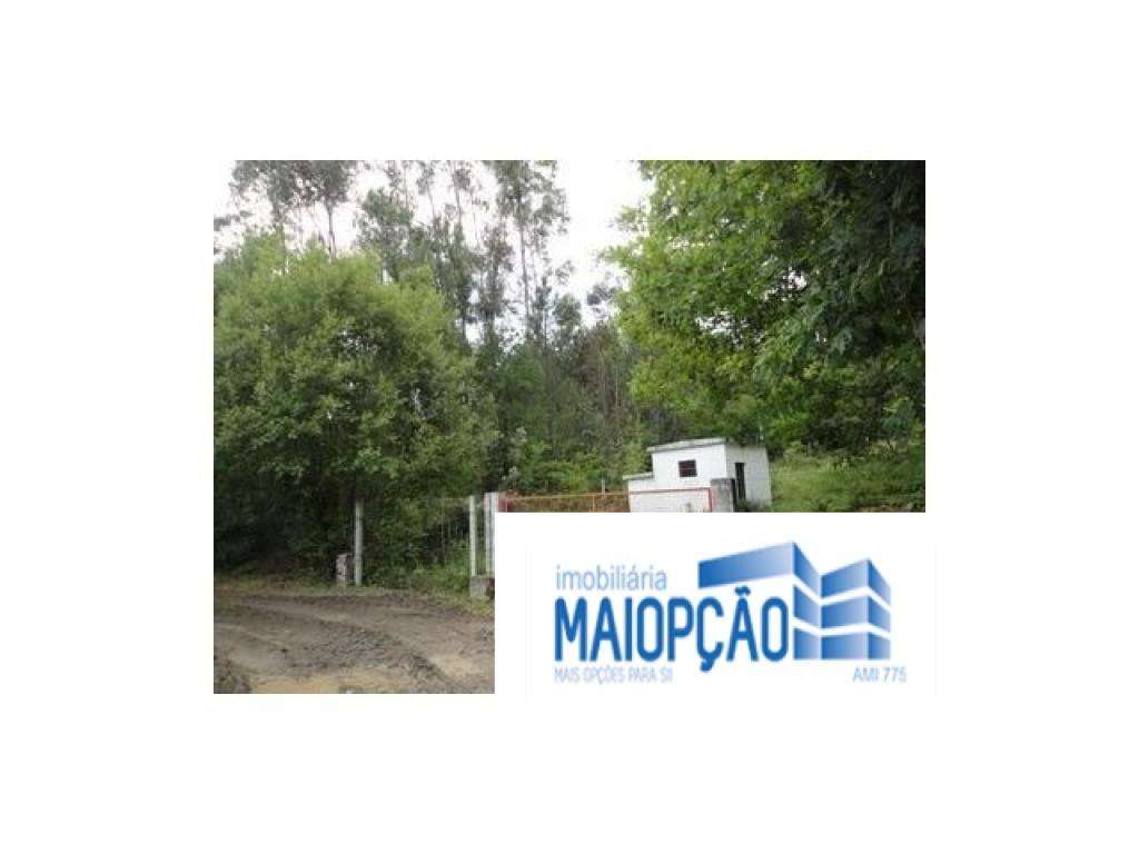 Terreno Rústico em Avelal - Grande imagem: 2/6