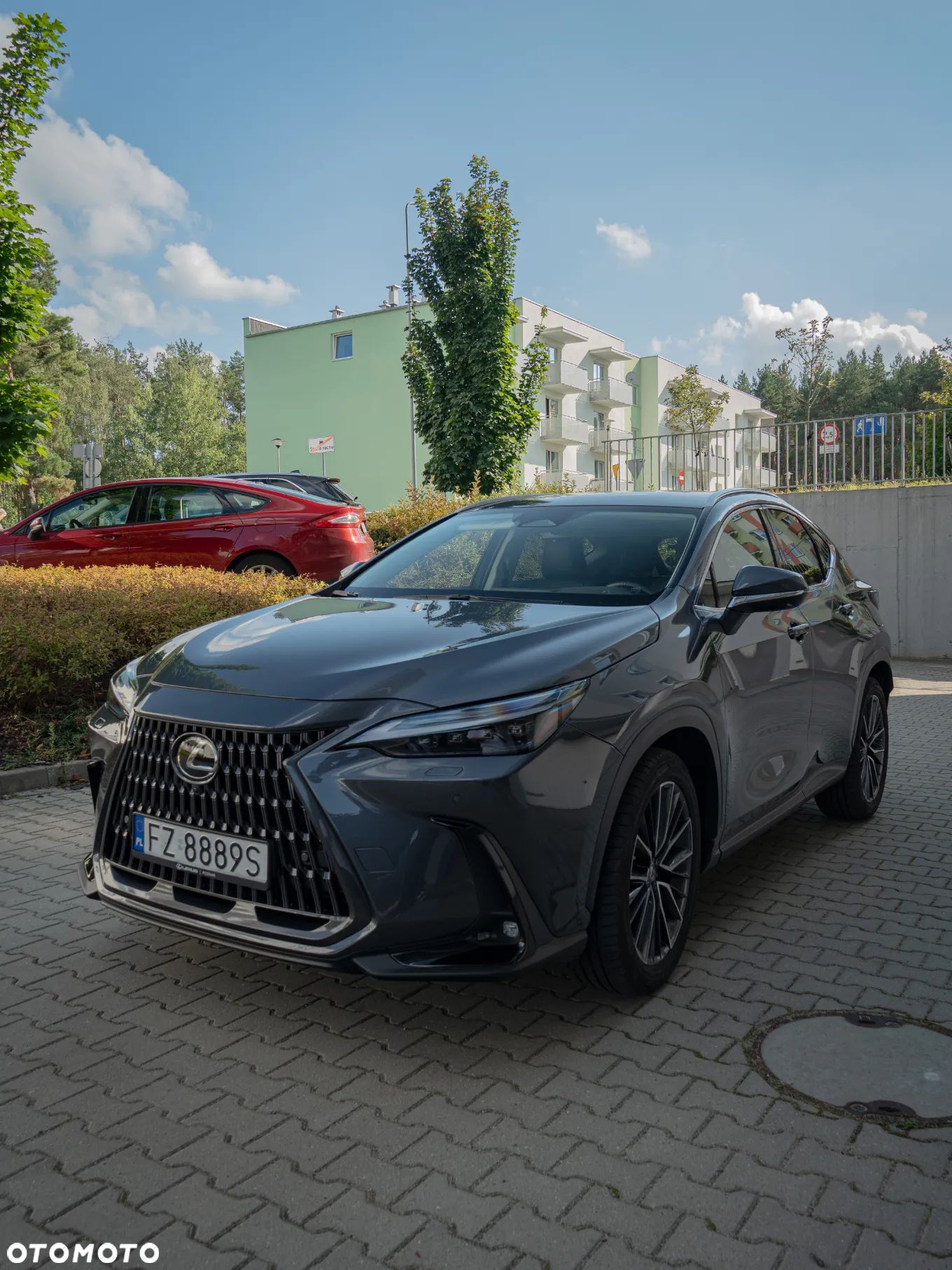 Lexus NX 350h Omotenashi AWD - 1