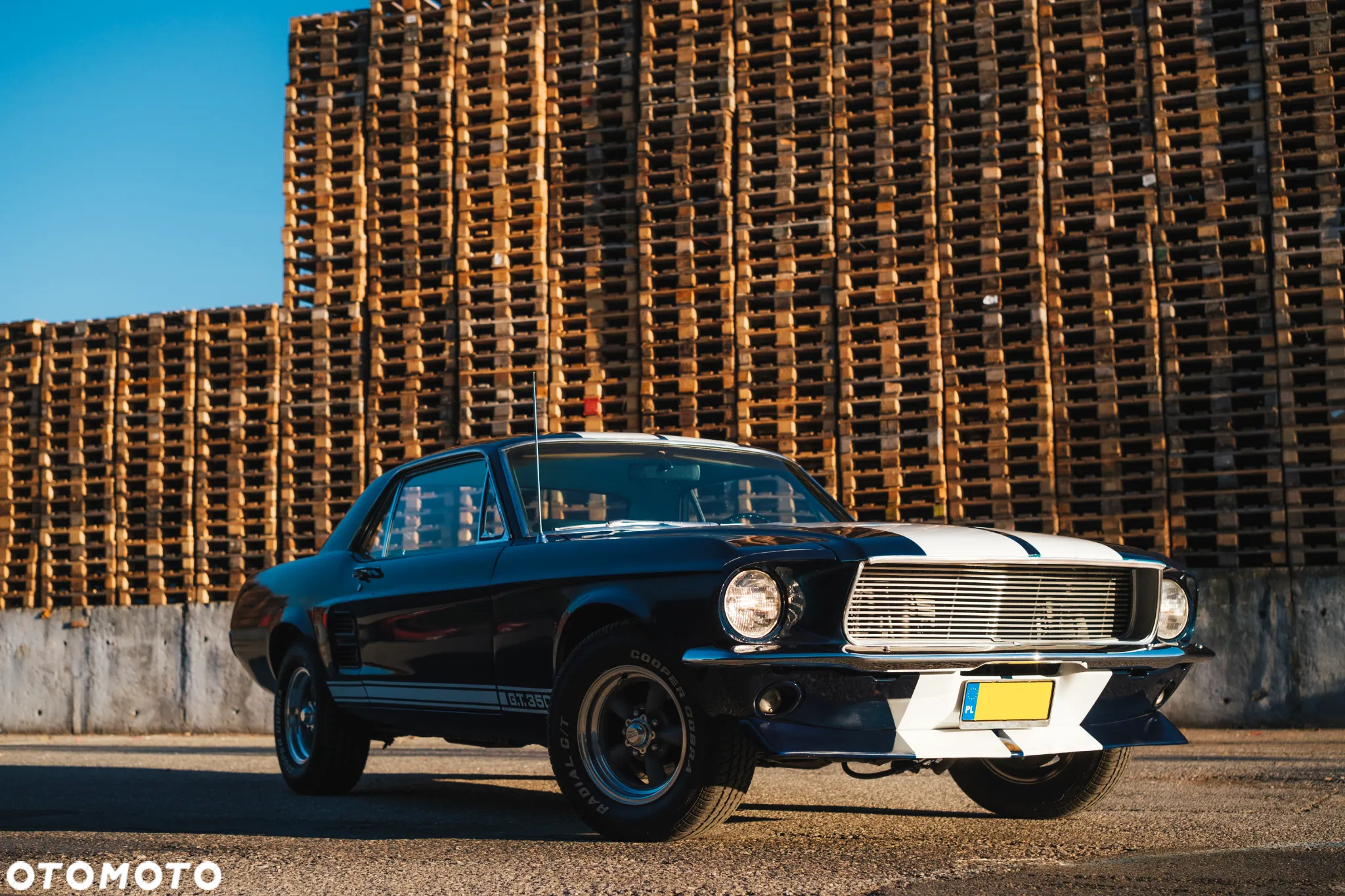 Ford Mustang - 5