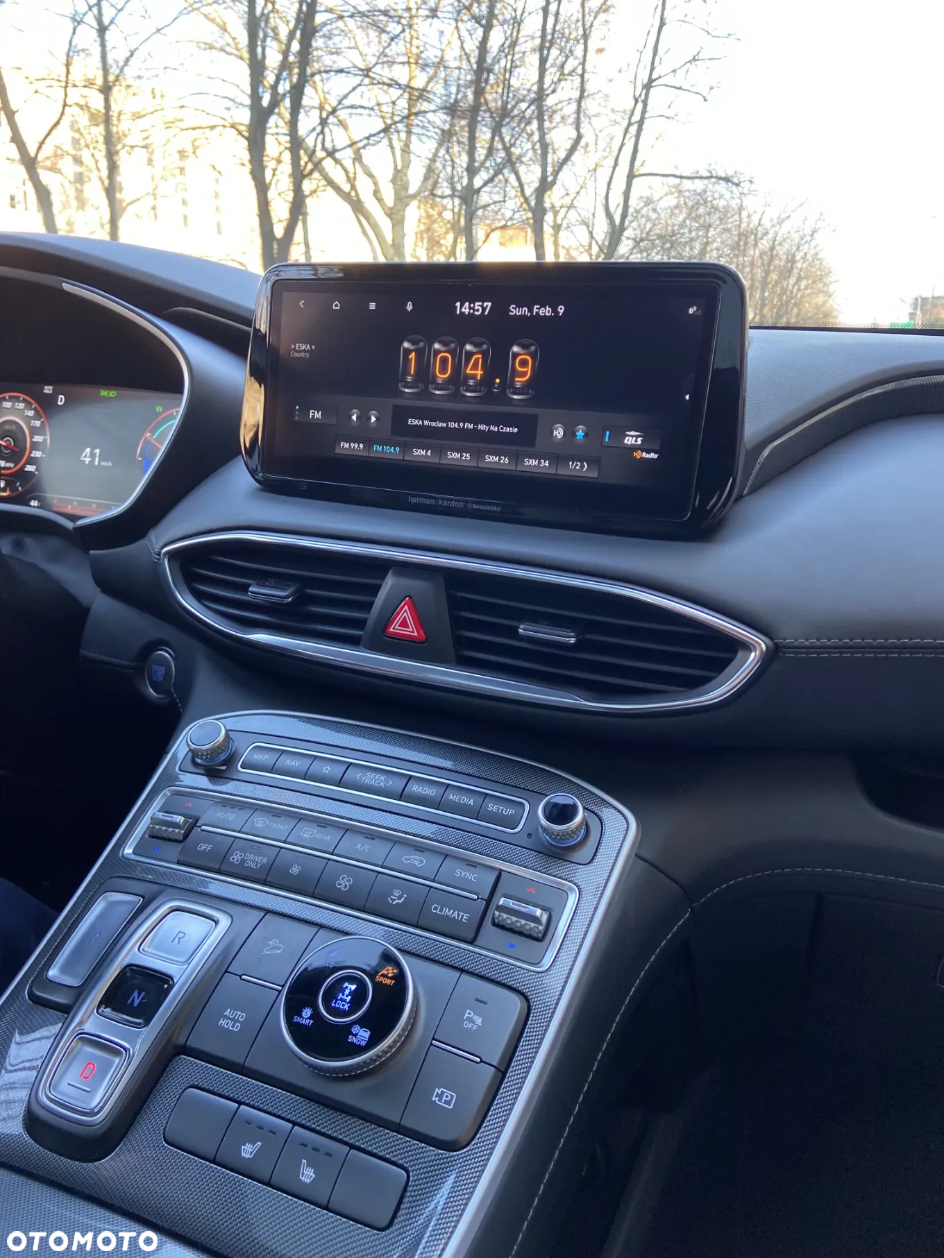Hyundai Santa Fe - 15